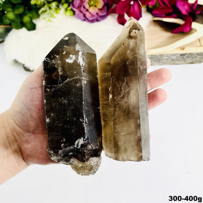 two 300g - 400g smokey quartz raw point rods in hand for size reference and possible variations
