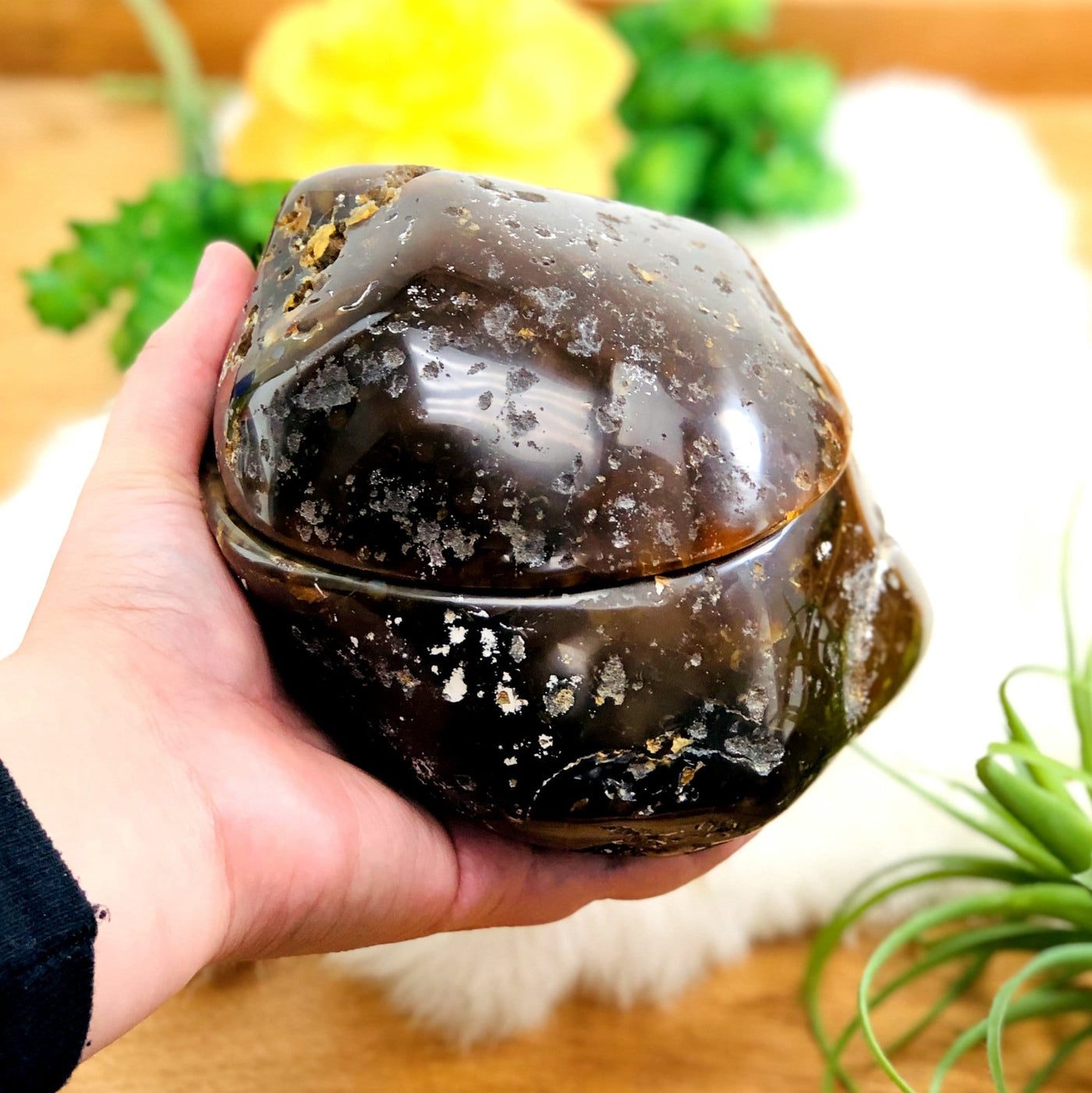 Polished agate druzy box closed in a hand displaying the external surface. Plants in the background.