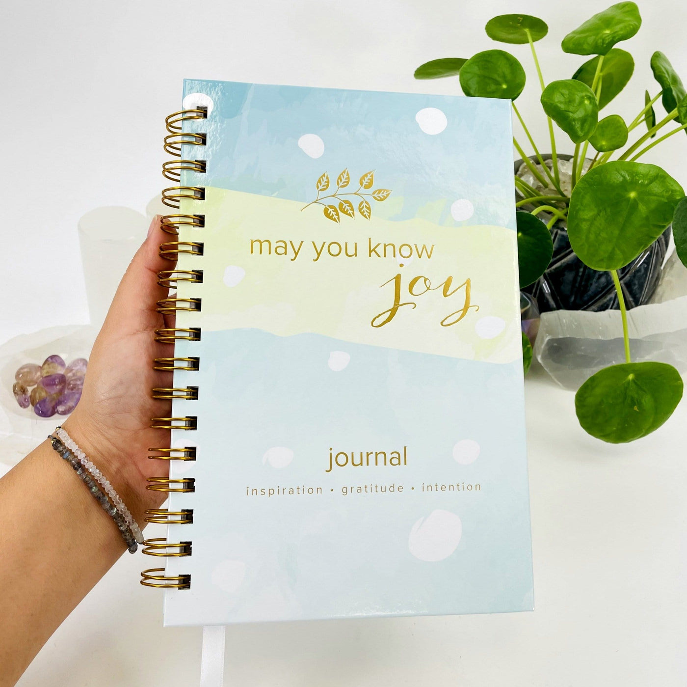hand holding up Journal - May You Know Joy with decorations in the background