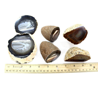 Various open geodes shown next to a ruler as a size comparison