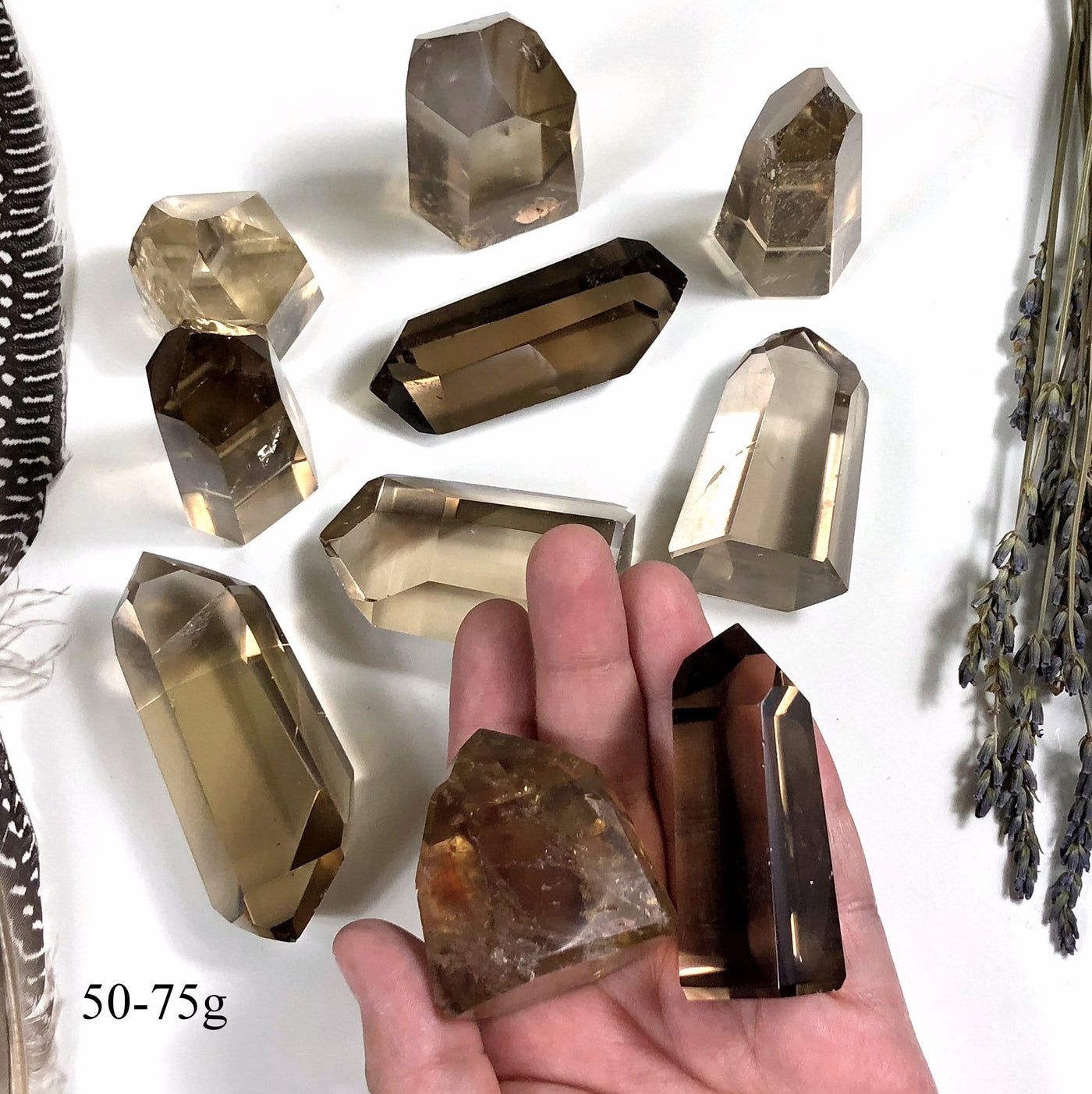 Polished Natural Citrine Points  (EX-101)