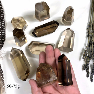 Polished Natural Citrine Points  (EX-101)