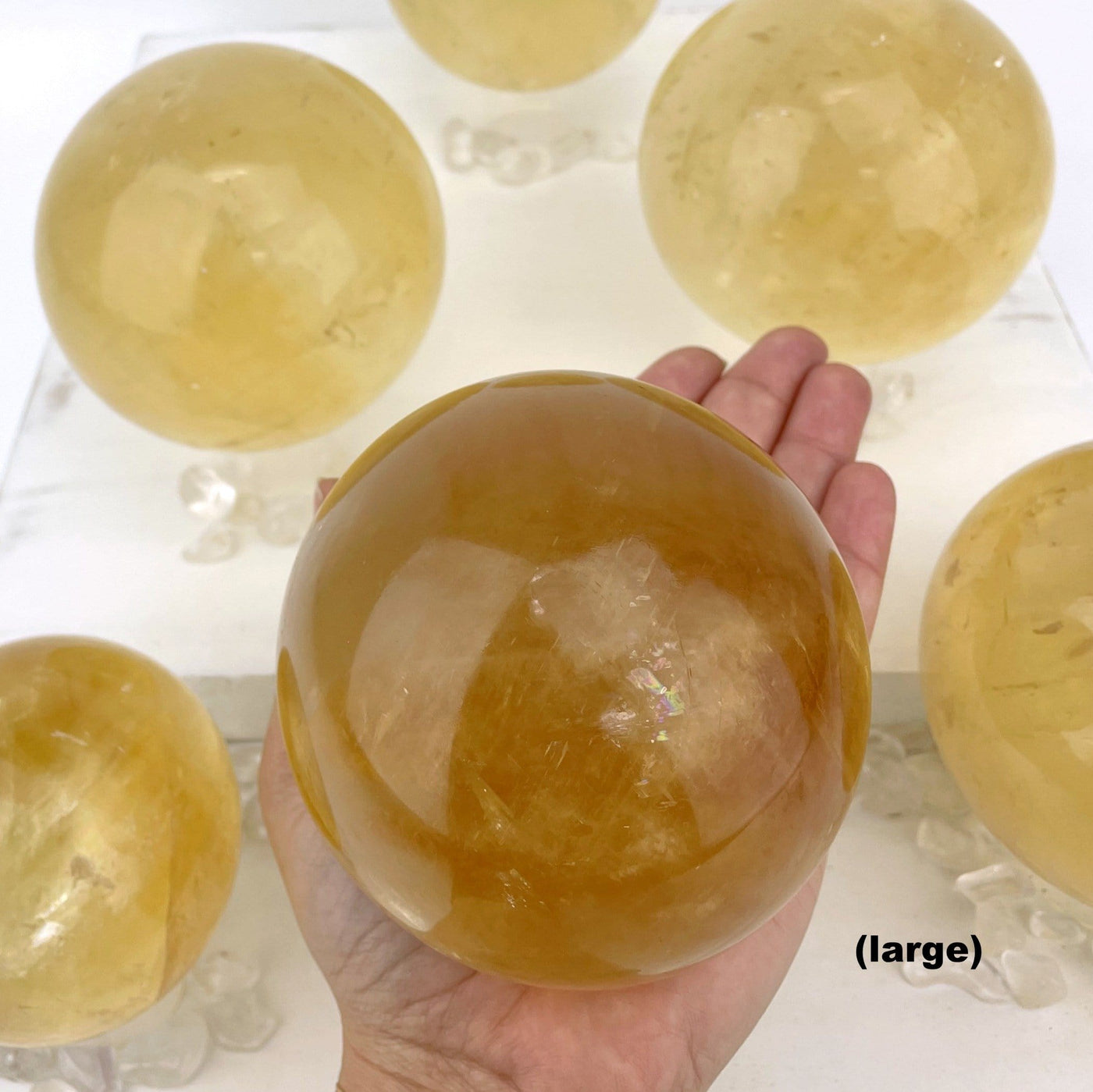 hand holding up large Honey Calcite Polished Spheres with others in the background