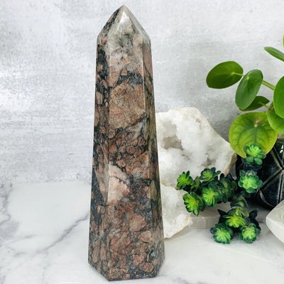 Back shot of Rhyolite Polished Tower, the Rhyolite tower is being displayed on a marbled background, next to a green natural plant.