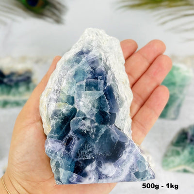 501g - 1kg 200-500g Fluorite Cut Base Chunk in hand for size reference