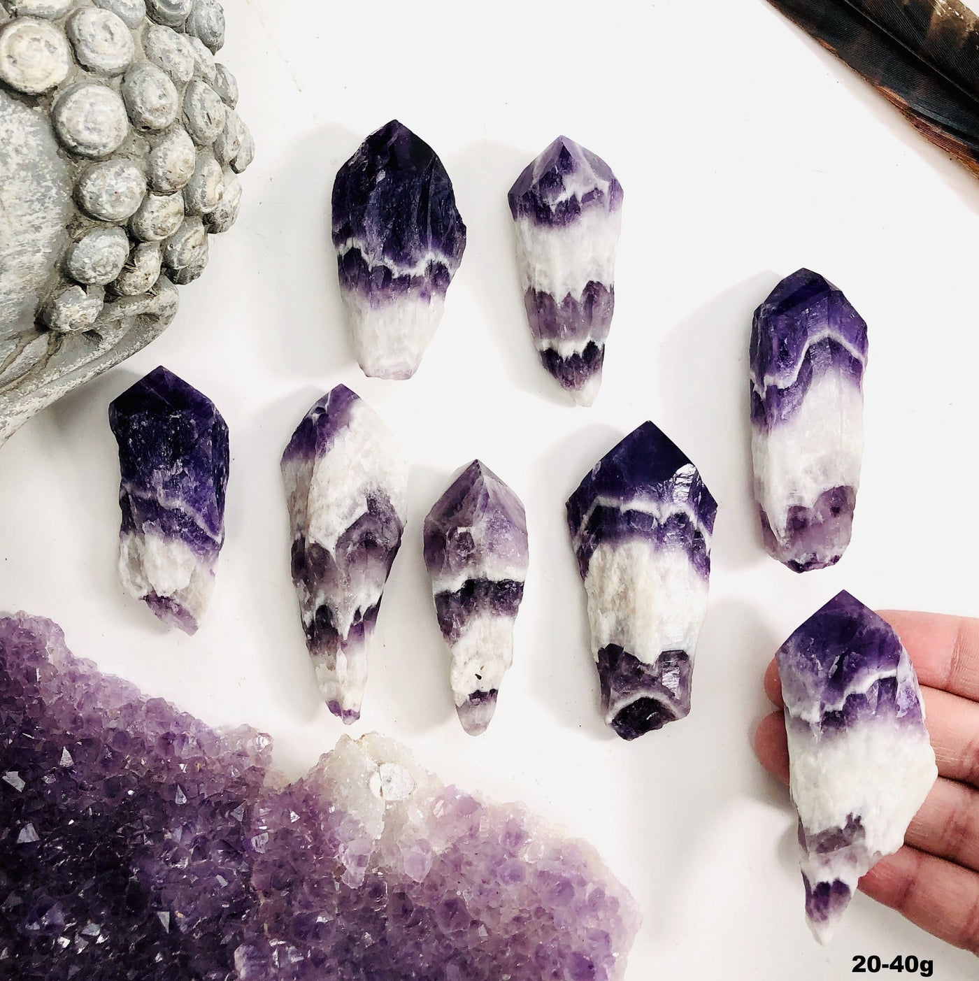 Eight amethyst chevron points are being displayed on a white back ground. for size 20 to 40 grams.