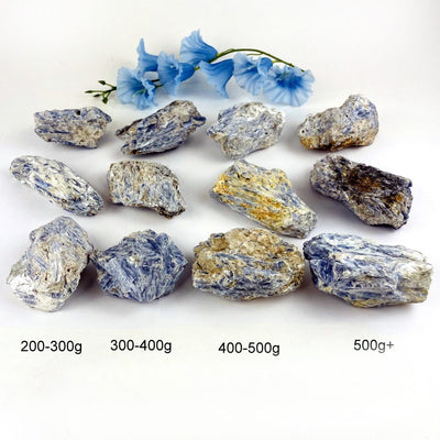 natural blue kyanite clusters next to their weight in grams 