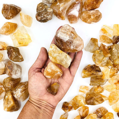 Golden Healer Quartz Polished Tumbled Stones in a hand to show size s of stones
