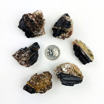 5 pieces of Tourmaline With Mica from the box placed around a quarter for size reference