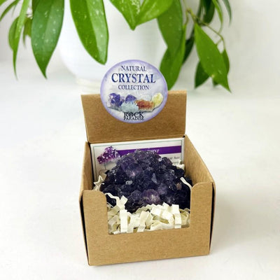 Natural Crystal Collection  - amethyst in a box