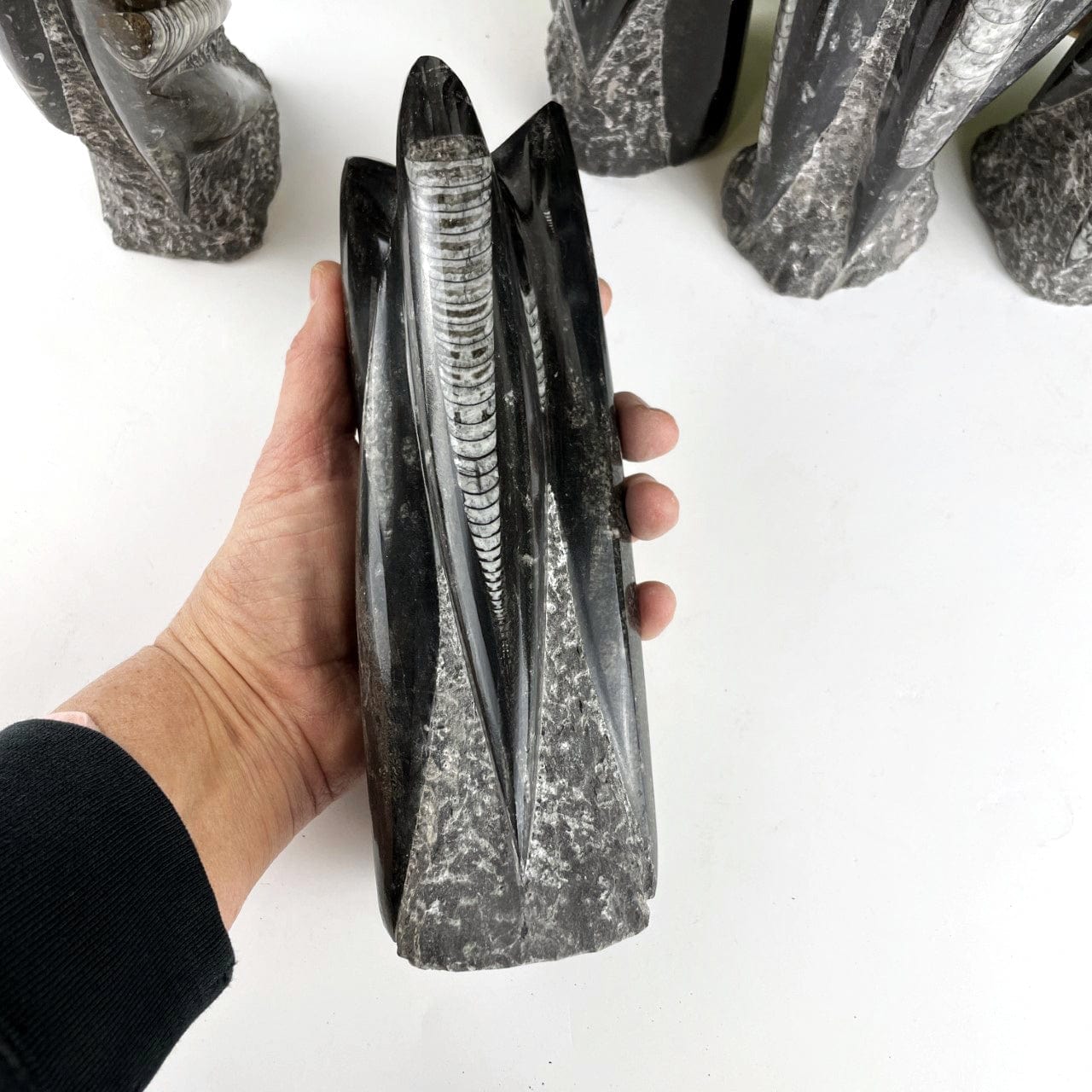 Orthoceras Fossil Tower in a hand for size reference