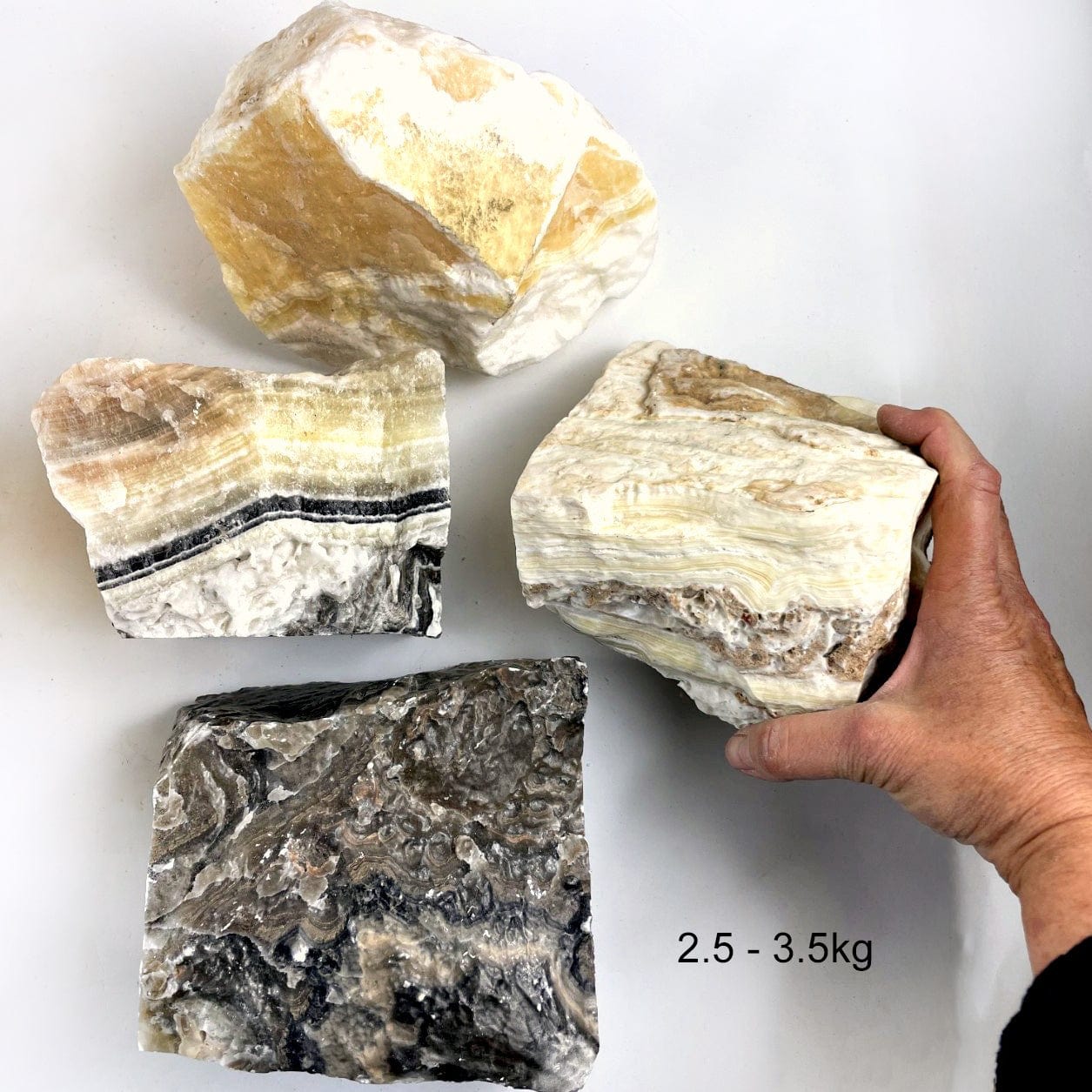 Mexican Onyx Rough Stone Chunks in the size 2.5-3.5 kilos, with one in a hand for size reference