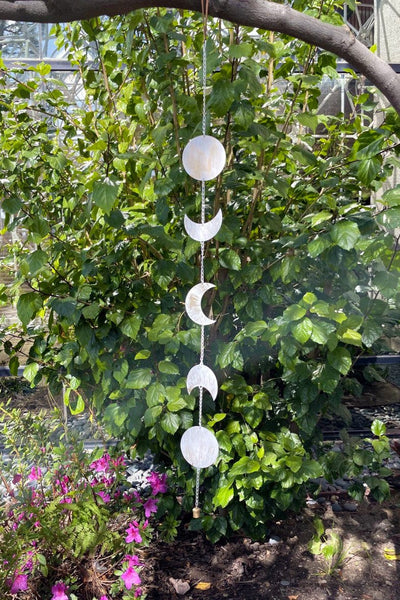 Moon Phase Wall Hanging - Brushed Metal - Golden and White Finish in a tree