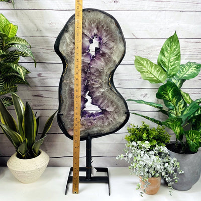 Amethyst Slice in shape of 8 on Metal Stand with a ruler