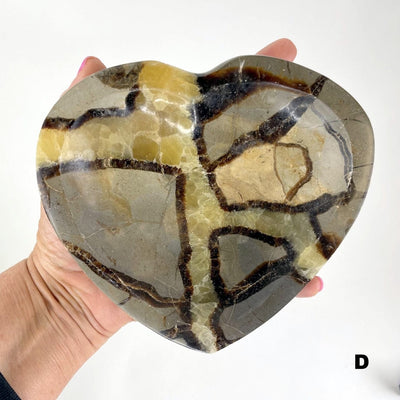 Septarian Heart Bowl - Polished Stone Dish #D in hand for size reference and formation differences