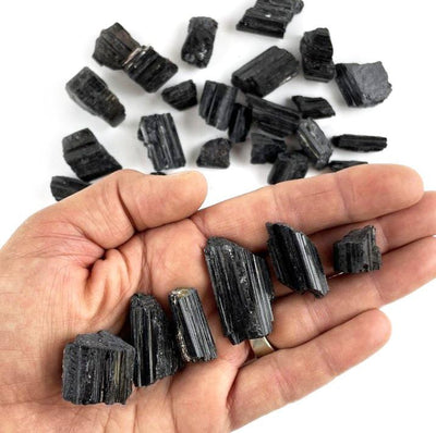 6 Black Tourmaline in the Small Pendant size, in a hand to show varying size for this listing