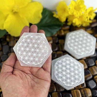 selenite hexagon engraved with flower of life in hand for size reference with others on display in background 