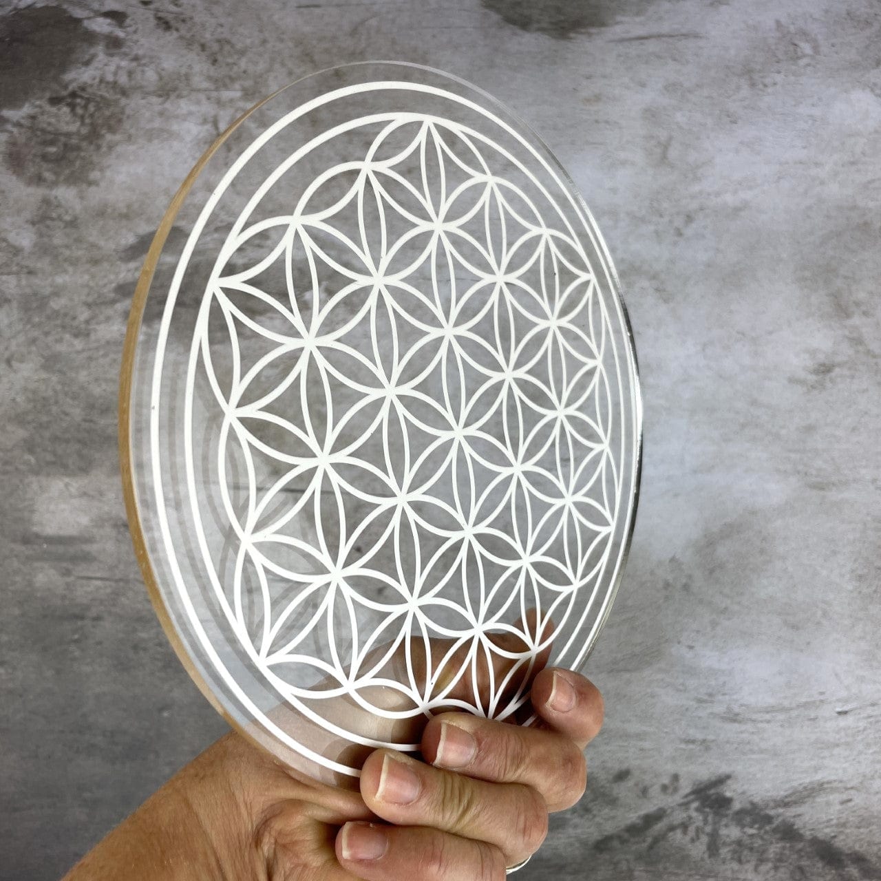 Crystal Grid Flower of Life Acrylic Grid - 2 sided - White side in a hand