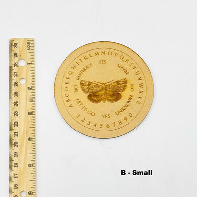 smaller moth board next to a ruler