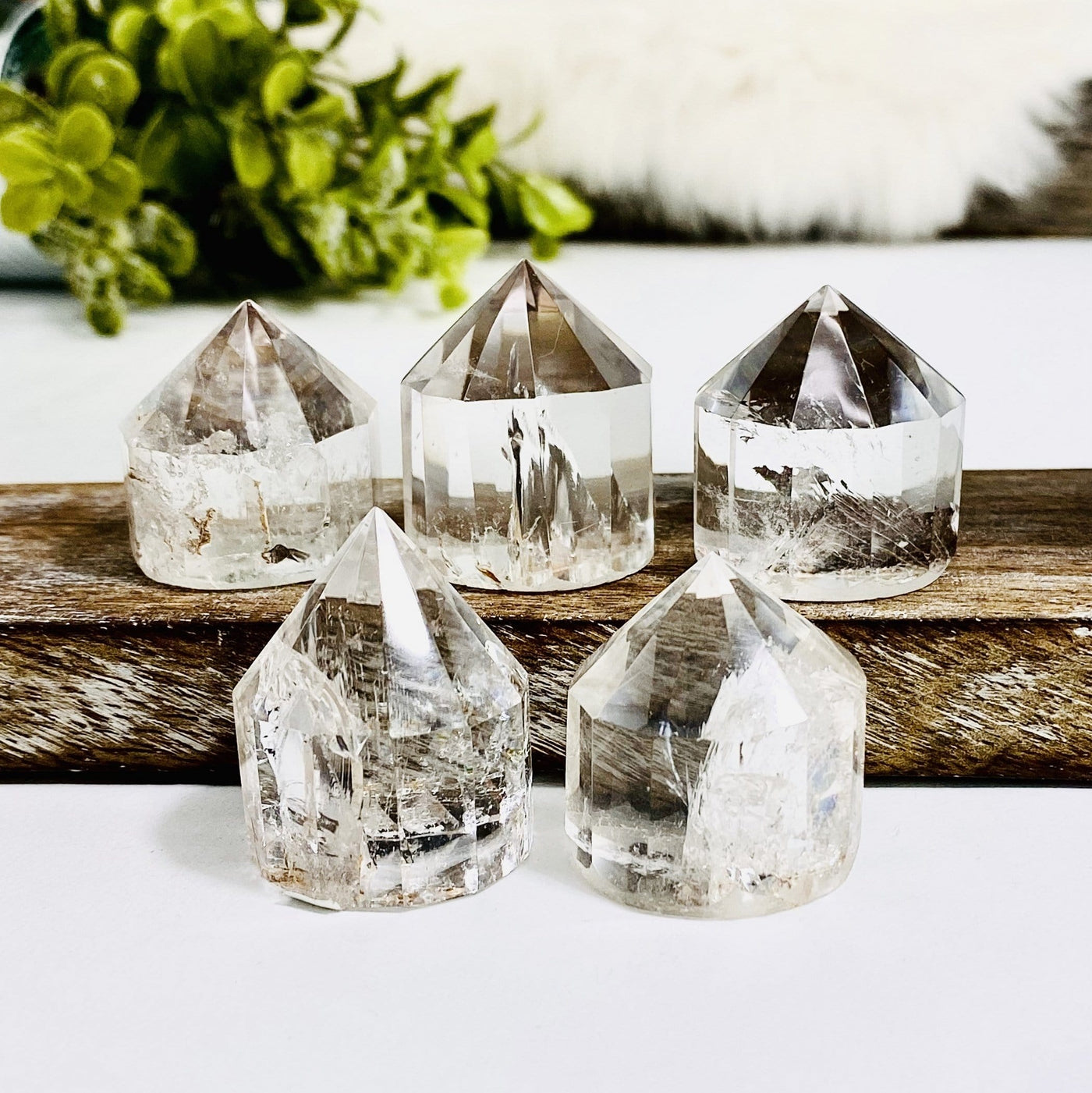 5 Crystal Quartz Mini Vogel Cut Base Points with decorations in the background