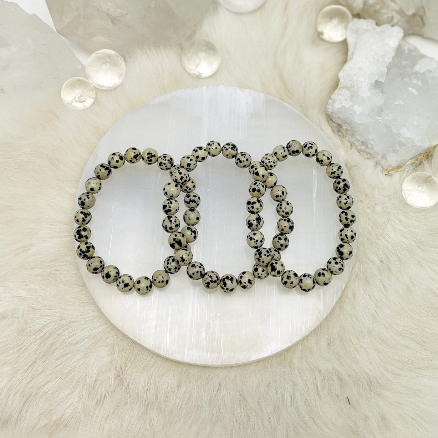 Dalmatian Jasper Bead Bracelets 8mm. Dalmatian Jasper is opaque, white spotted with brown and black like the dog! This stone helps you to move forward in life and discover your purpose, bringing joy and playfulness.