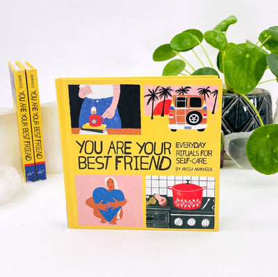 copy of You Are Your Best Friend by Anisa Makhoul with 2 others in the background with decorations 