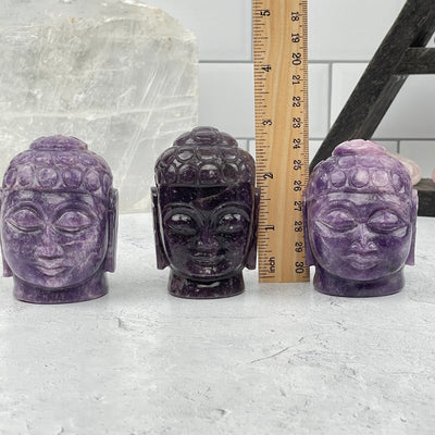 buddha heads next to a ruler for size reference 