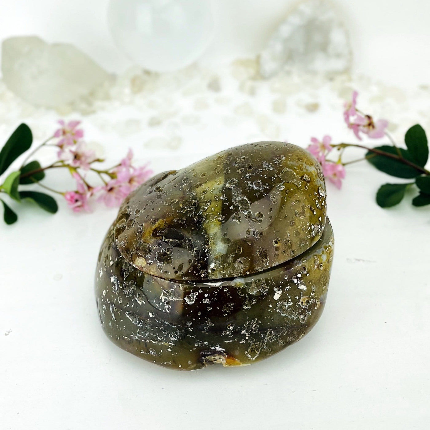 Agate geode box closed displaying the external polished surface on a light colored background. Plants in the background.