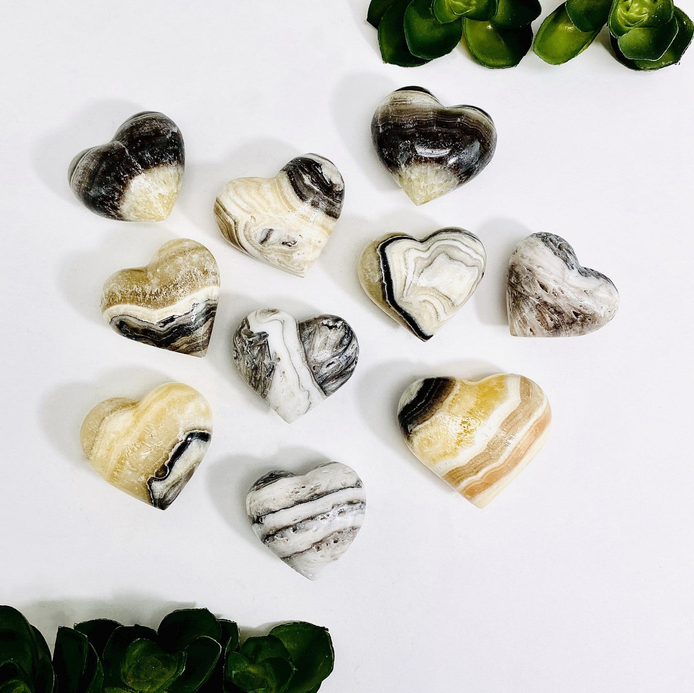 10 Zebra Onyx Puff Hearts showing different markings and colors