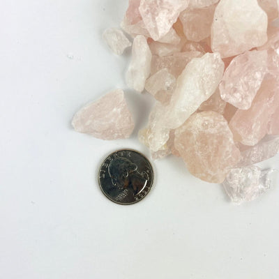 Rose Quartz Chubbie Box of Stones in a pile next to a quarter for sizing.