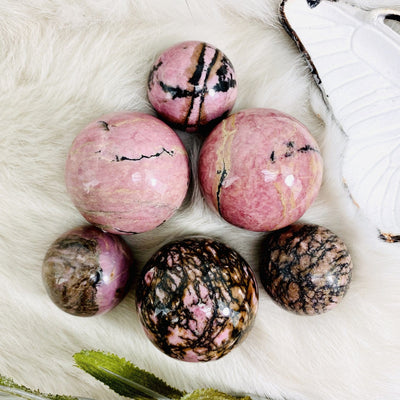 6 Rhodonite Polished Spheres on a white fur background