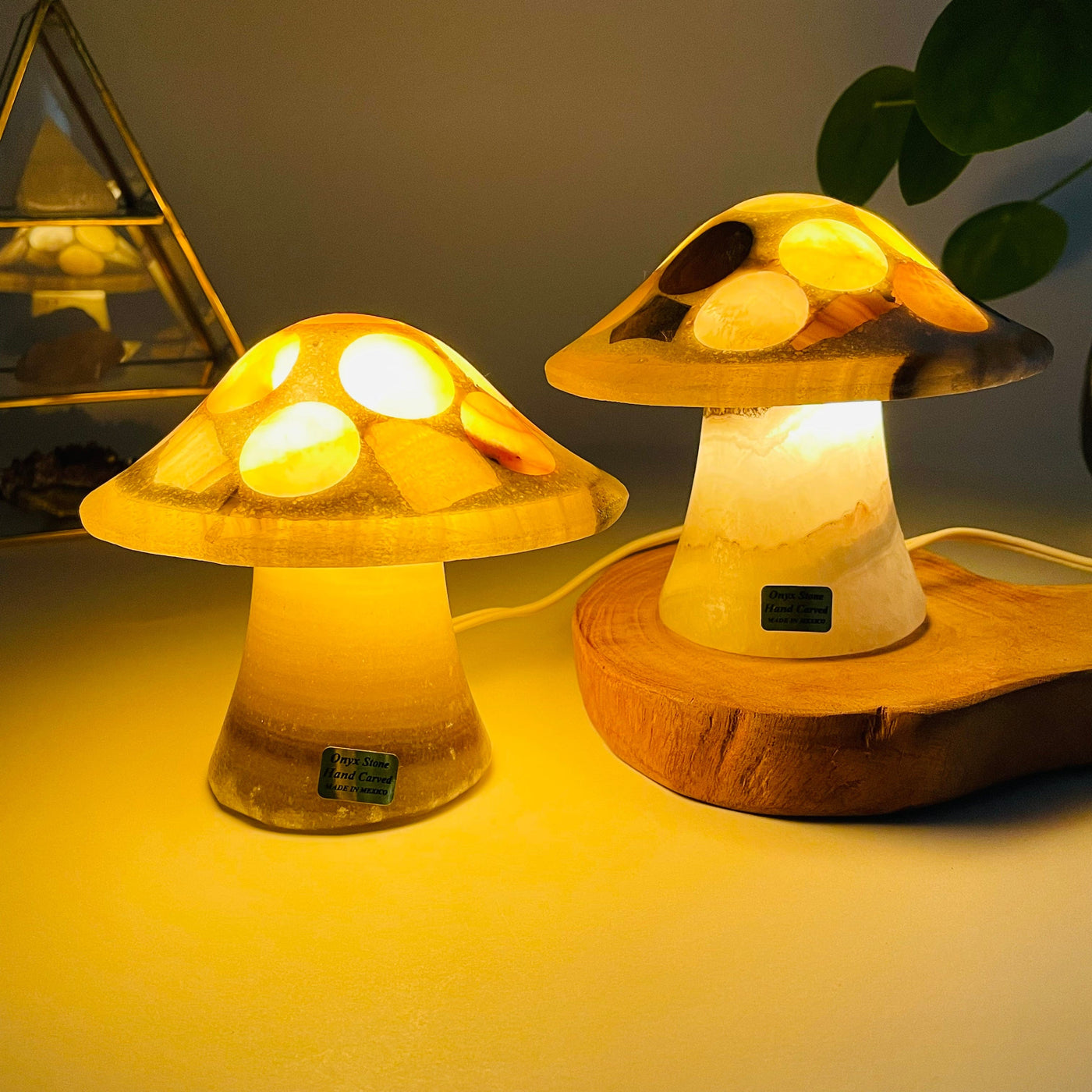 onyx mushroom lamps lit up and displayed as home decor