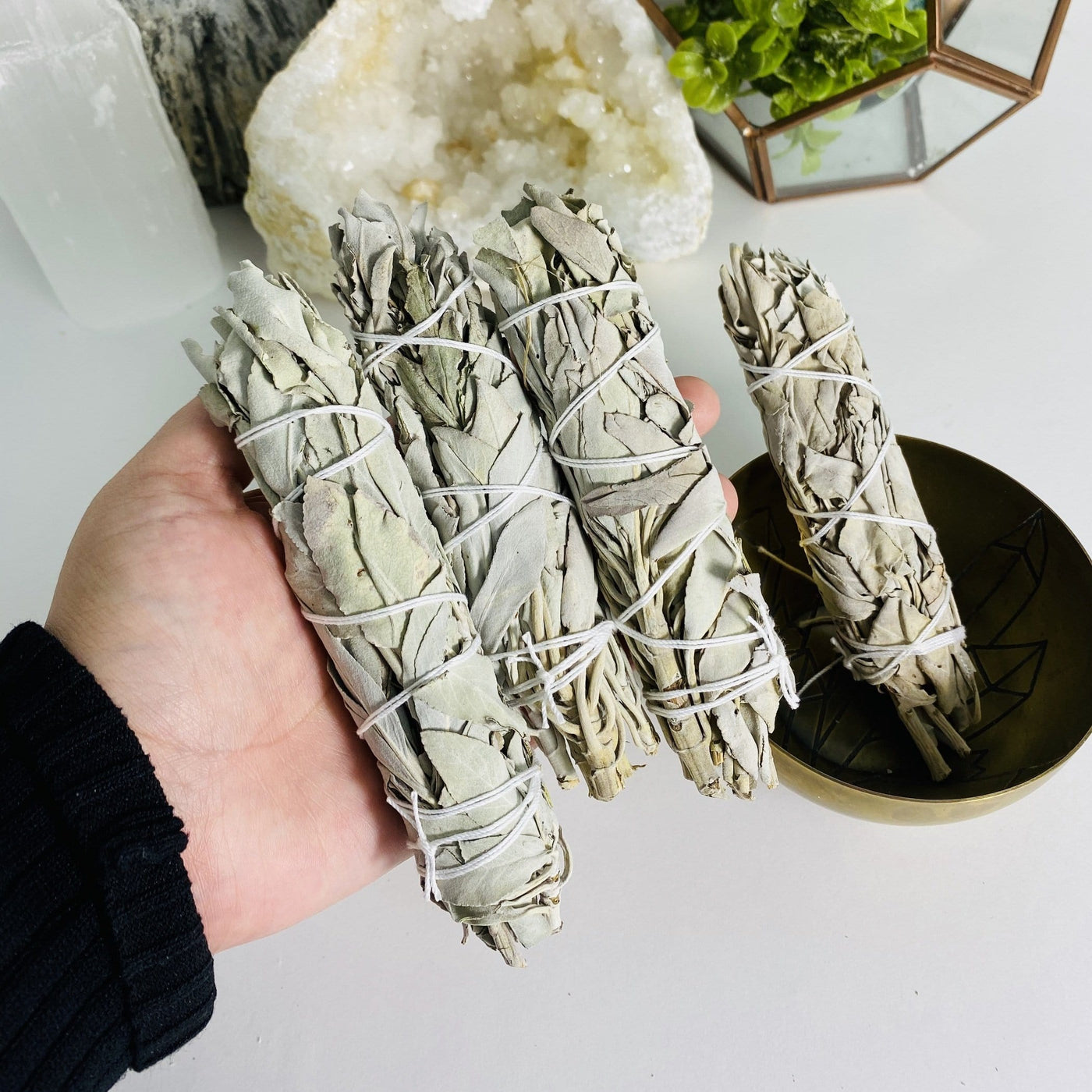 Three White Sage Sticks pictured in hand and one other stick is in a brass bowl.