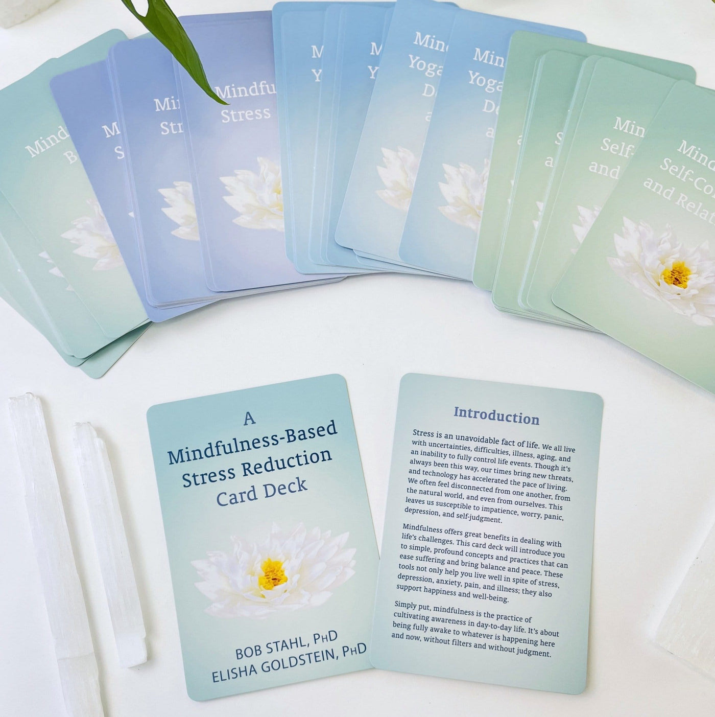 A Mindfulness-Based Stress Reduction Card Deck - Title, introduction and card deck expanded.