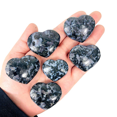Six Indigo Gabbro Heart Shaped Stone on hand for size comparison