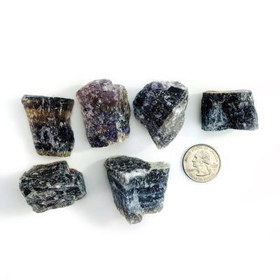 fluorite stones displayed next to quarter to show size reference