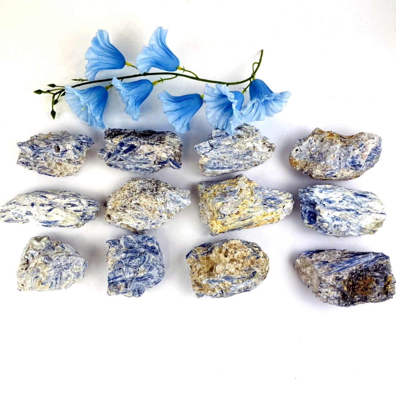 multiple natural blue kyanite clusters 