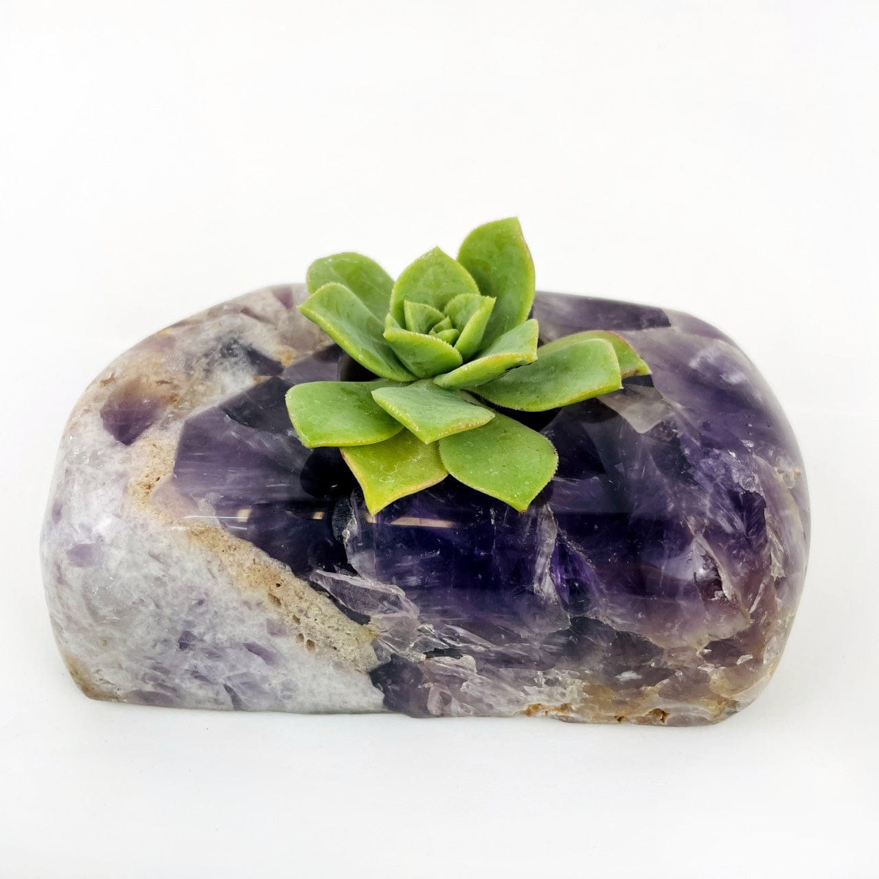 Chevron Amethyst Polished Candle Holder with a succulent in it