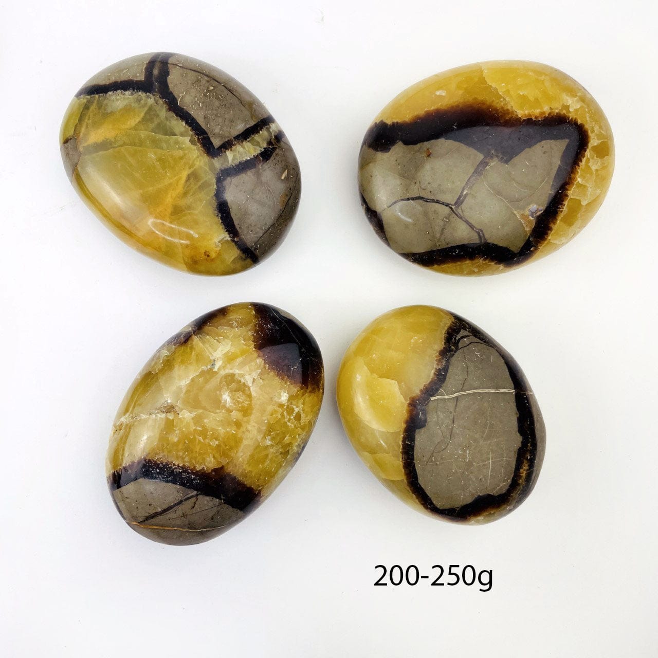 Septarian Tumbled Palm Stone in the 200-250g size