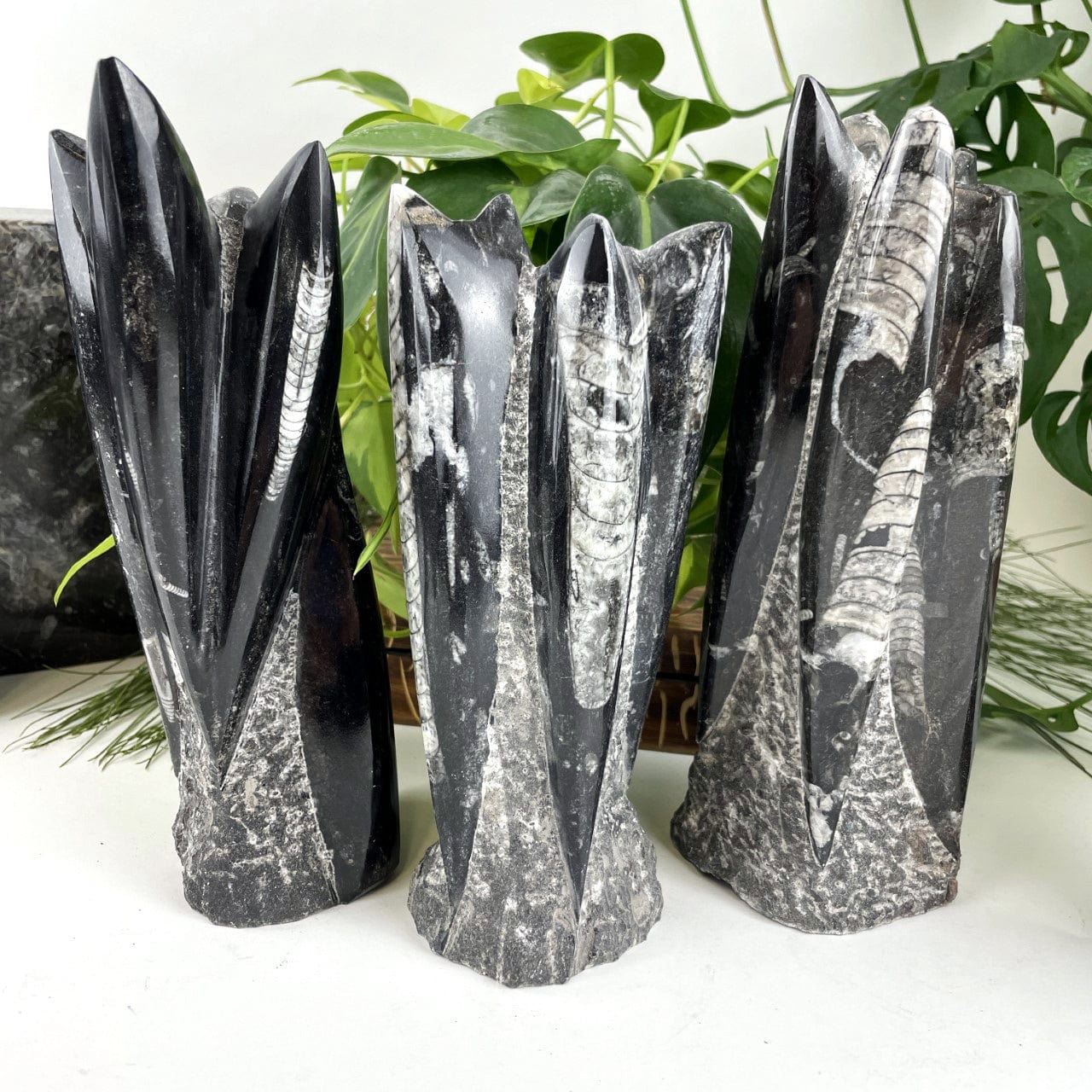 3 Orthoceras Fossil Towers next to each other showing varying shapes