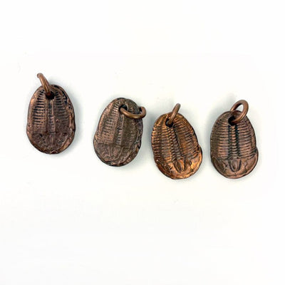 4 Copper Trilobites Pendants in a row on a table