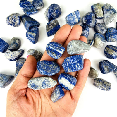 Tumbled Lapis Lazuli stones with some in hand for sizing