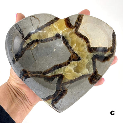 Septarian Heart Bowl - Polished Stone Dish #C in hand for size reference and formation differences