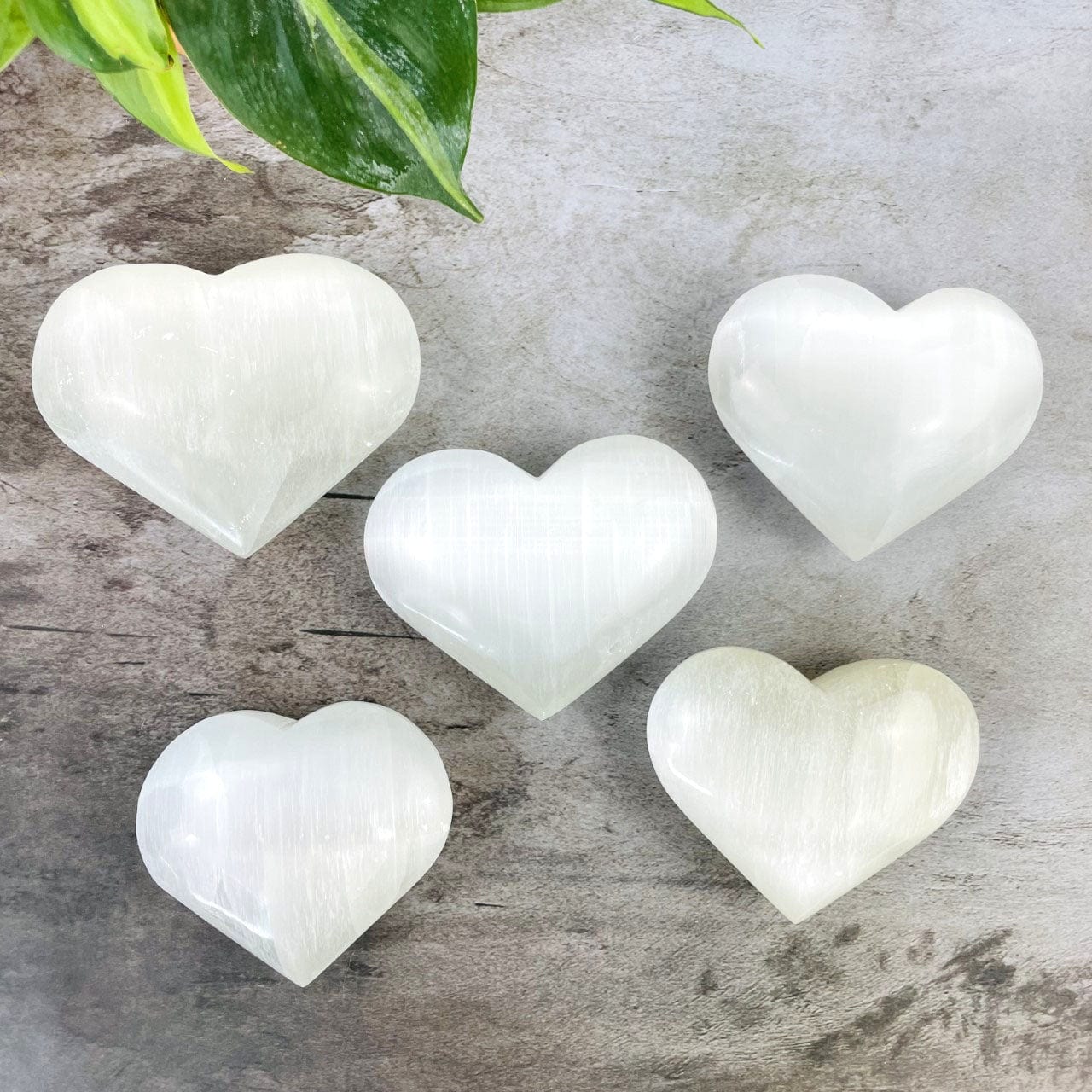 5  Selenite Heart Shaped Stones