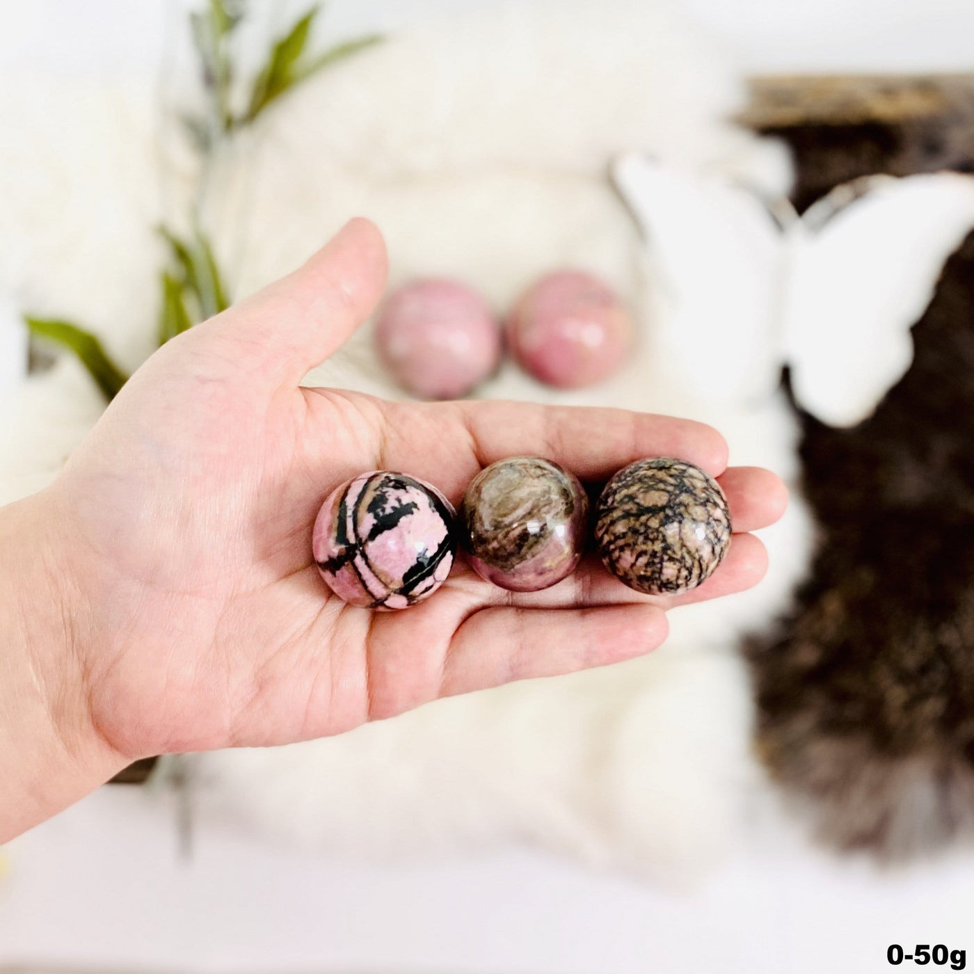 Hand holding up 3 0-50g Rhodonite Polished Spheres with decorations blurred in the background