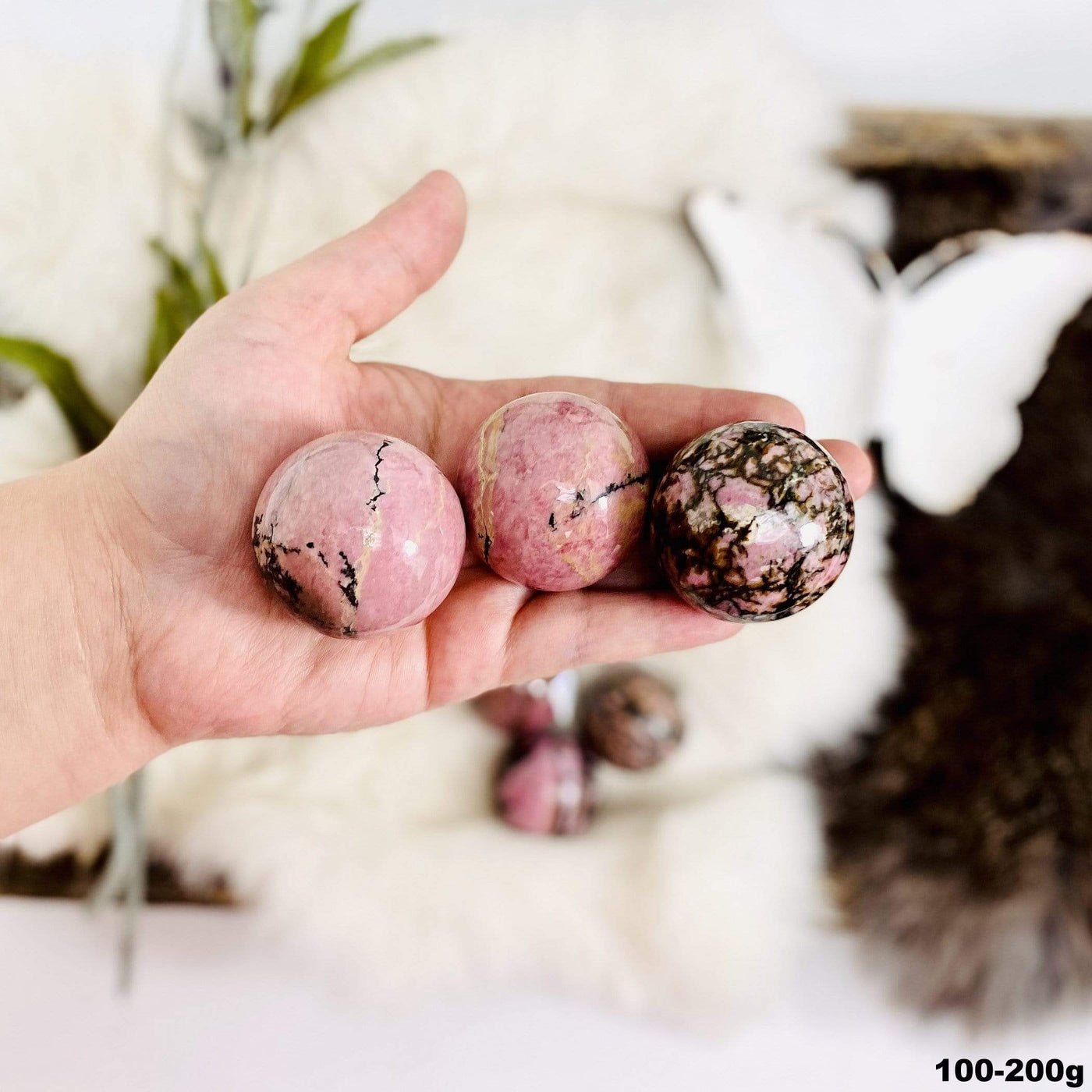 Hand holding up 3 100-200g Rhodonite Polished Spheres with decorations blurred in the background