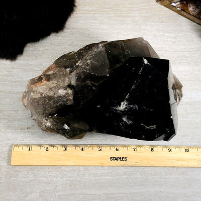 overhead view of smokey quartz semi-polished point with ruler for size reference