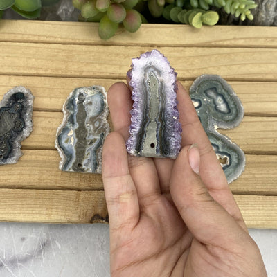 hand holding up Drilled Stalactite Slice with others in the background