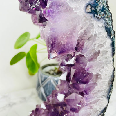 close up of an amethyst cluster growing in the portal 
