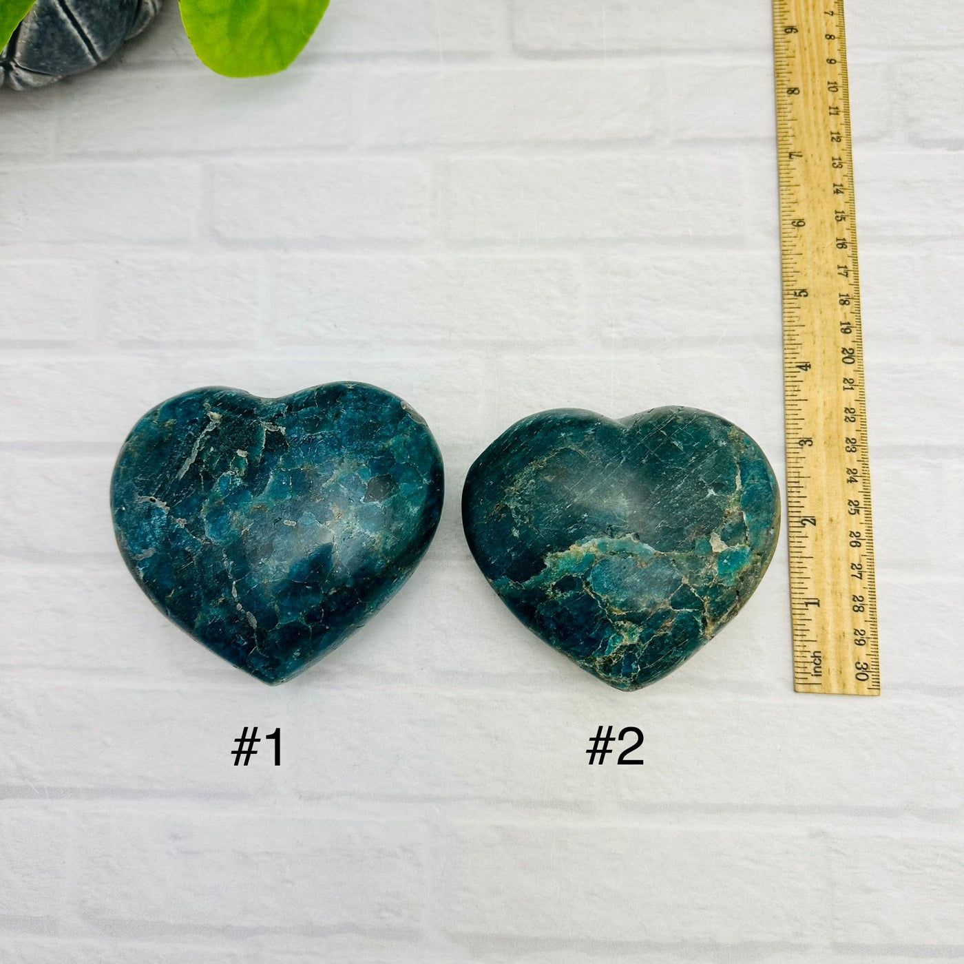 Polished Blue Apatite Hearts - YOU CHOOSE - choice number one and two with a ruler for size refence 